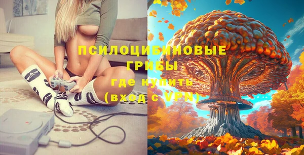 бошки Вязьма