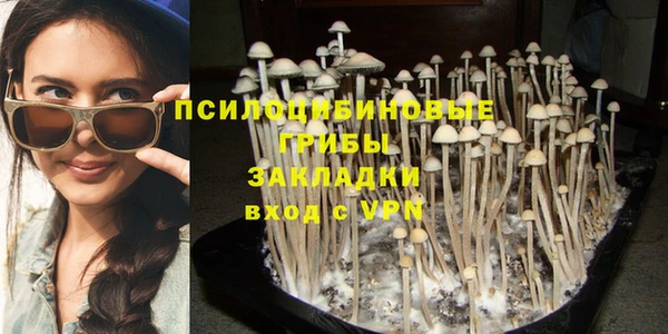 бошки Вязьма