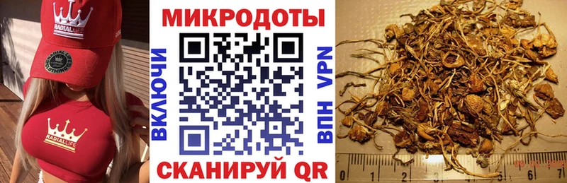 Галлюциногенные грибы Psilocybine cubensis  купить закладку  Курган 